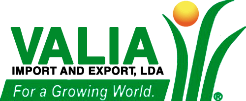 VALIA IMPORT AND EXPORT LDA